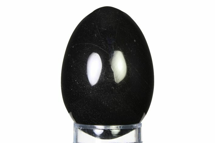 Polished Black Obsidian Egg - Mexico #322377